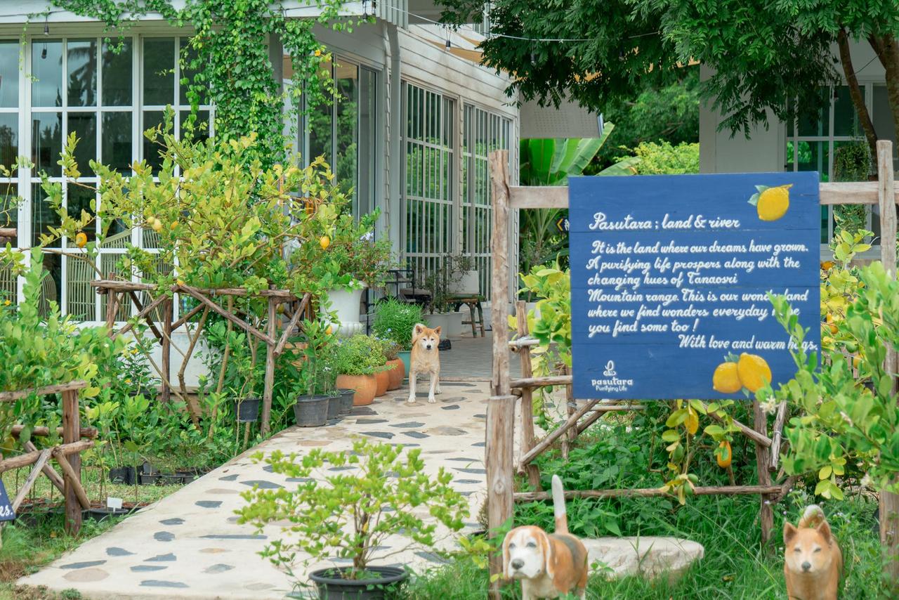 พื้นที่บ้านและไร่อินทรีย์พสุธาราริมธรรมชาติ